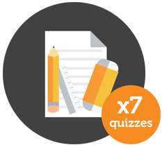 7 Quizzes